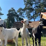 Farma Puchalowo