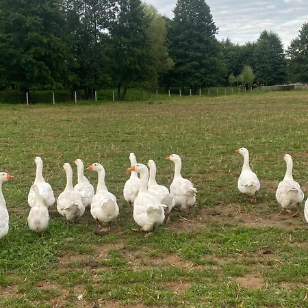 Farma Farm stay Puchalowo