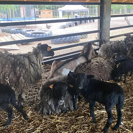 Farm stay Farma
