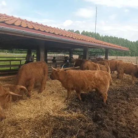 Farma Farm stay *