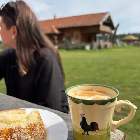 Farma 农家乐 Puchalowo